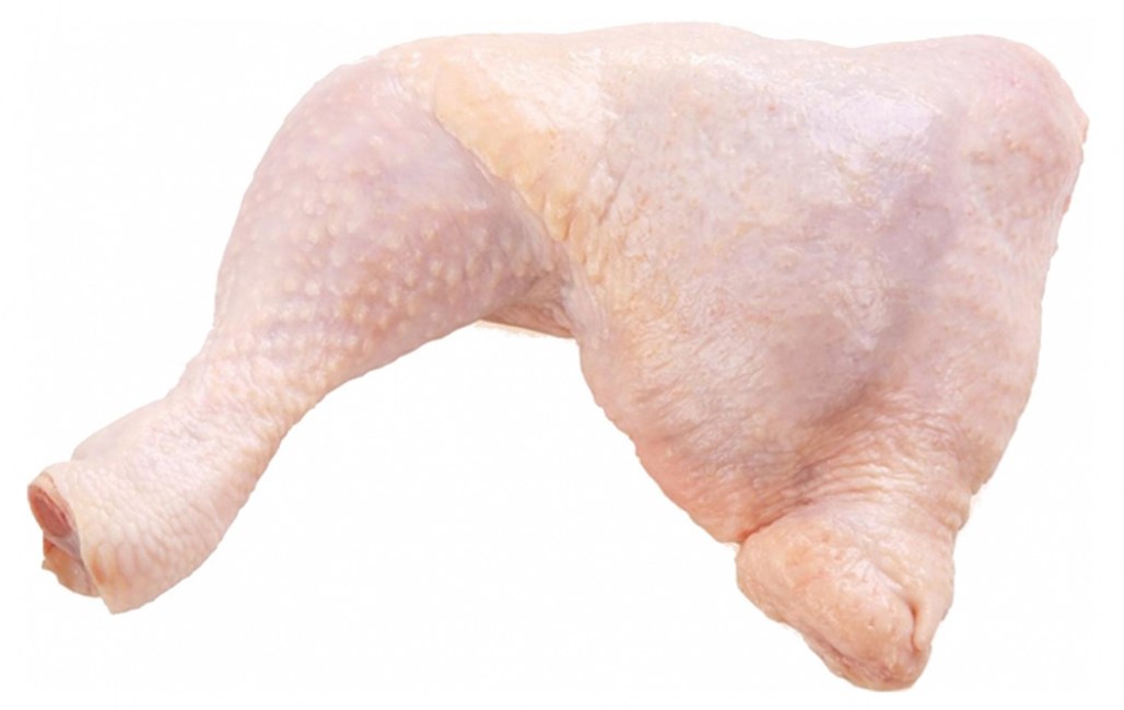 8b0fcb55f82ddfd55b41ec5a84c56891