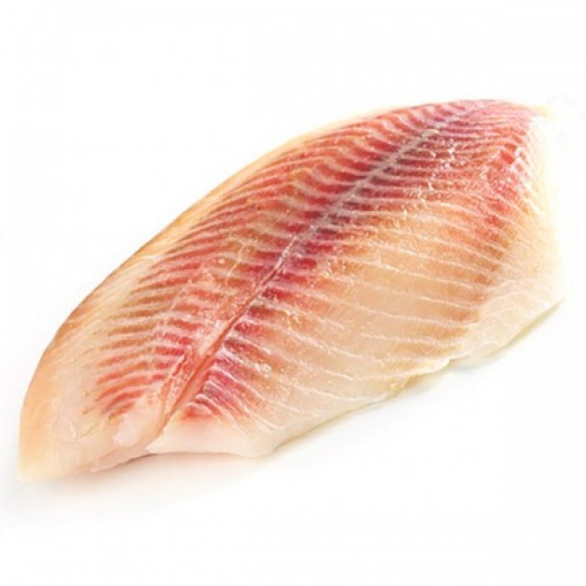 fish600-3-2-500x500