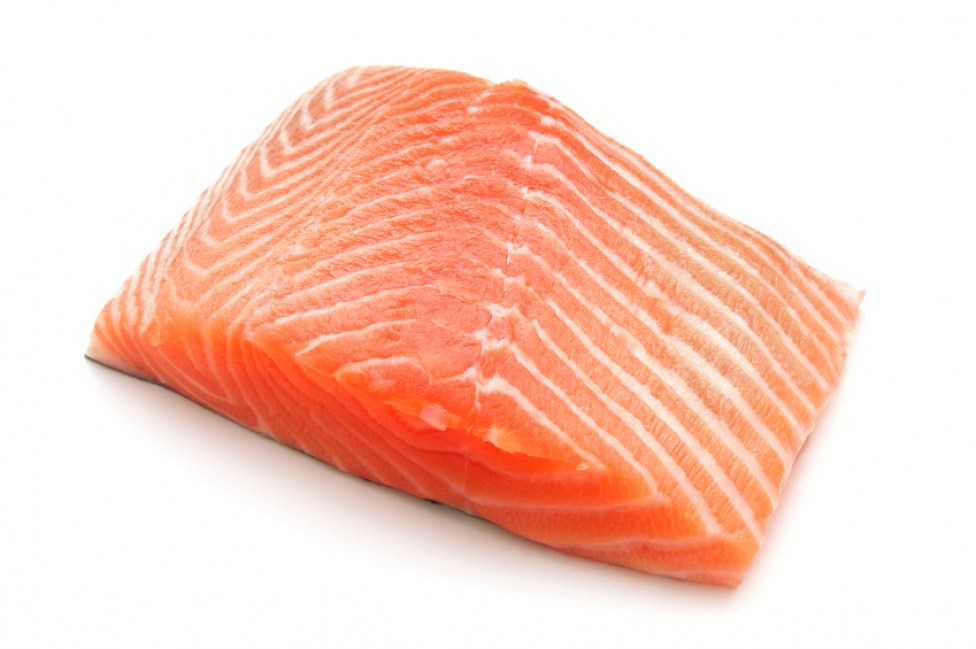 salmon